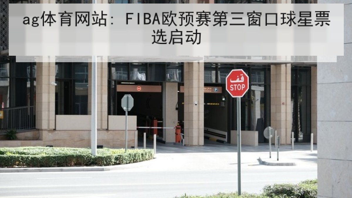 ag体育网站: FIBA欧预赛第三窗口球星票选启动